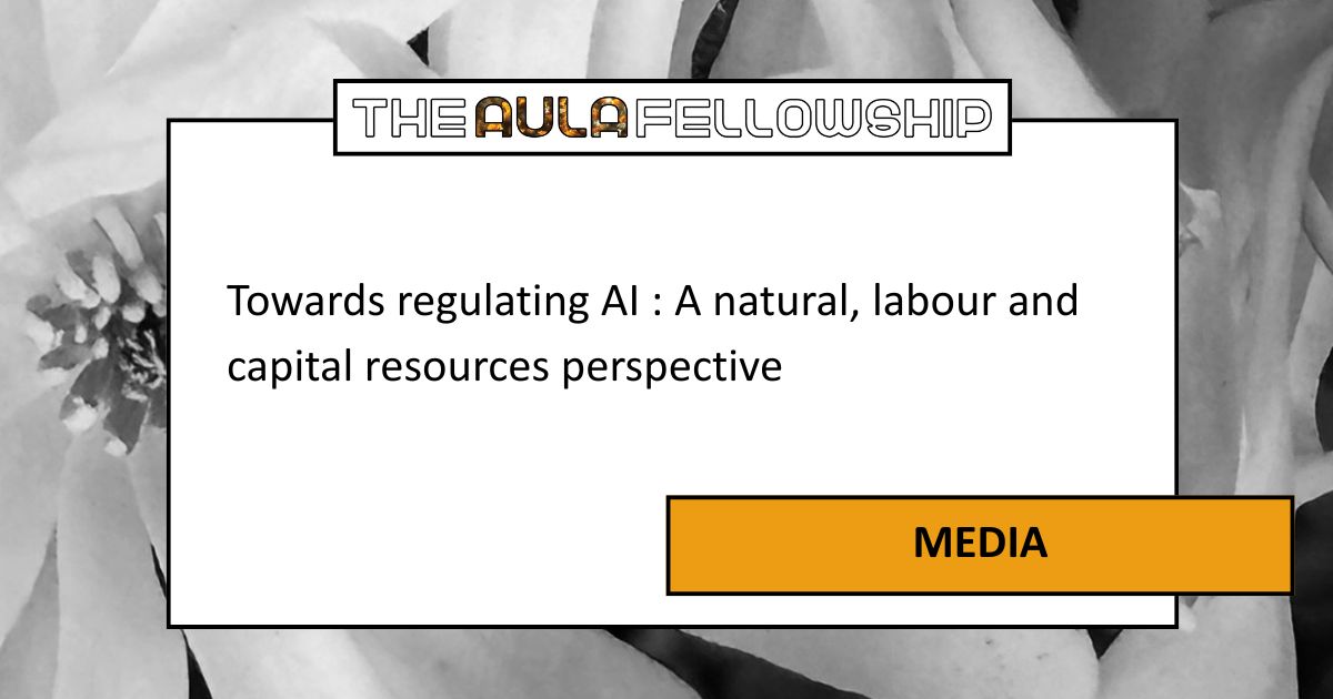 Towards regulating AI : A natural, labour and capital resources perspective
