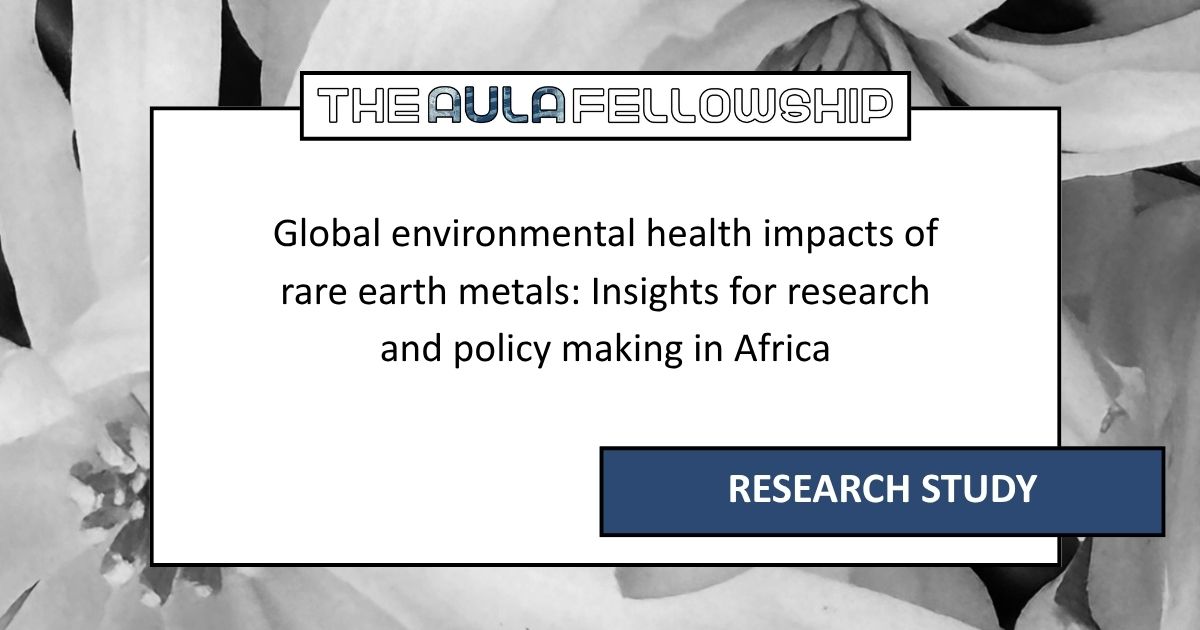 Global environmental health impacts of rare earth metals: Insights for research and policy making in Africa