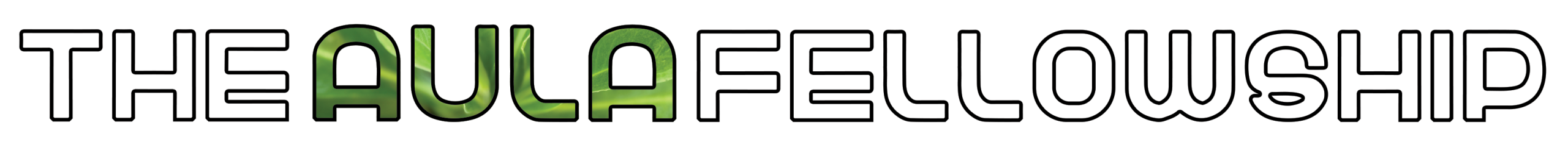 The Aula Fellowship for AI Science, Policy, and Tech
